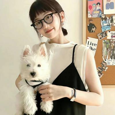 海贼王 · 最终章 上篇